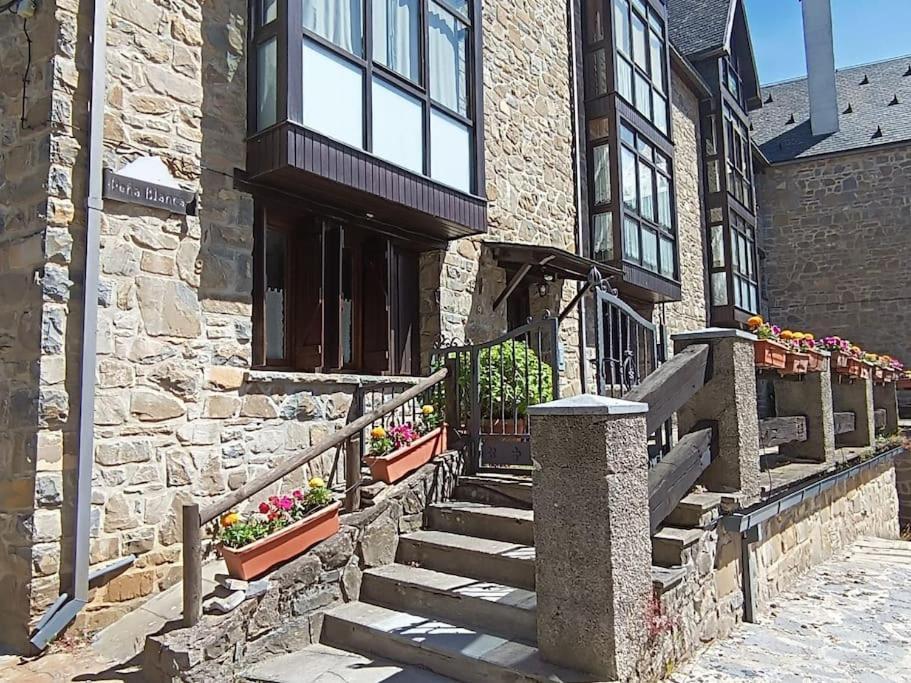 Pena Telera Petfriendly - Arafita Apartamentos El Pueyo de Jaca Exterior foto